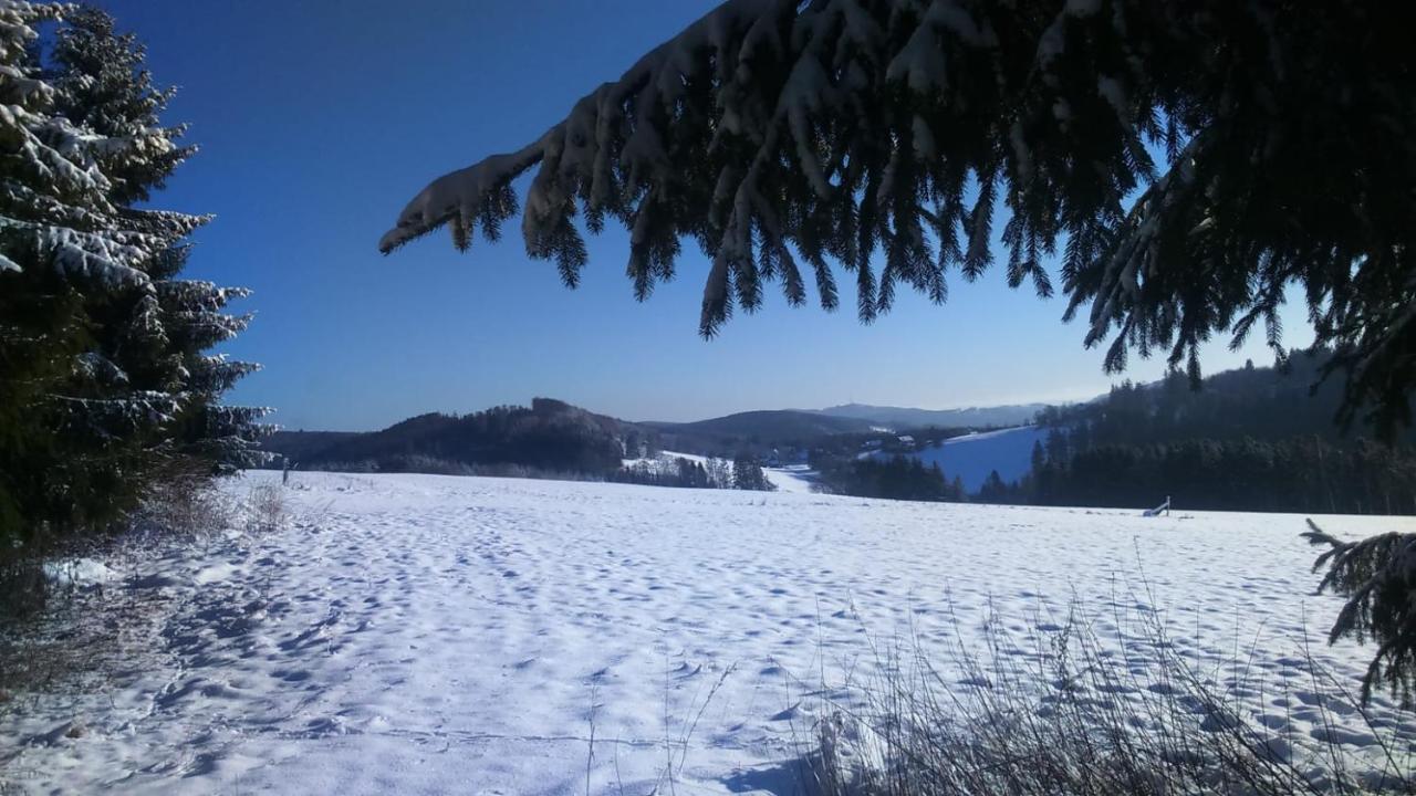 B&B All Seasons Winterberg Exteriér fotografie