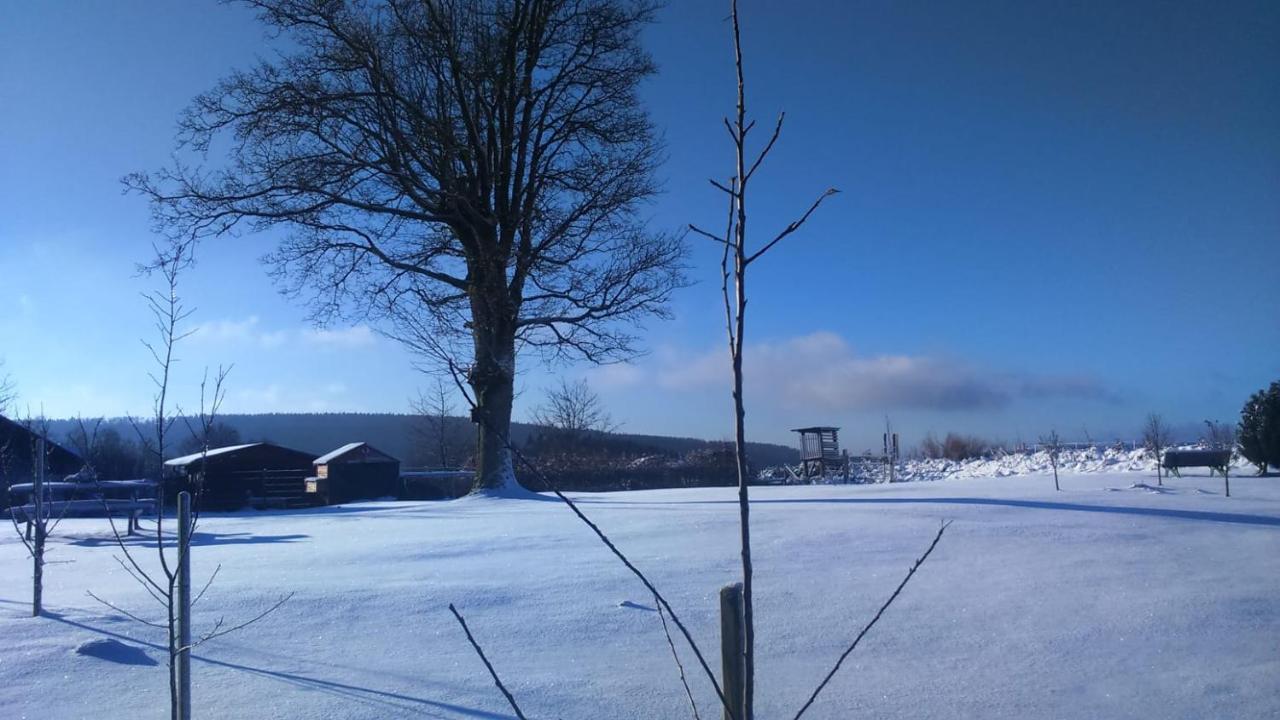 B&B All Seasons Winterberg Exteriér fotografie