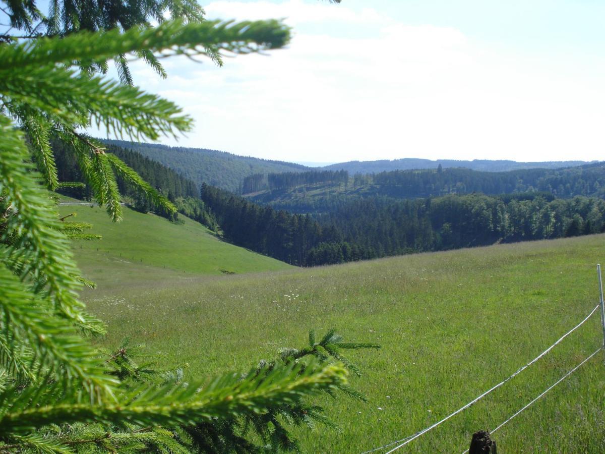 B&B All Seasons Winterberg Exteriér fotografie